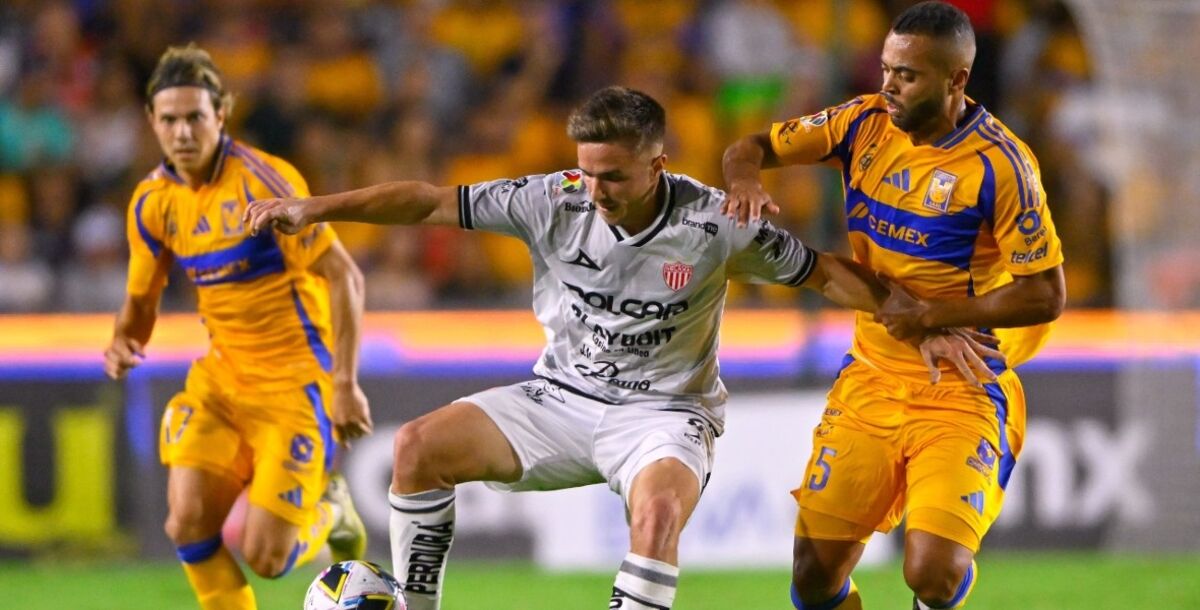 Tigres, Necaxa, Cuartos de Final, Liga MX, Liguilla, dónde lo veo, en vivo, transmisión, Azteca 7, Tubi