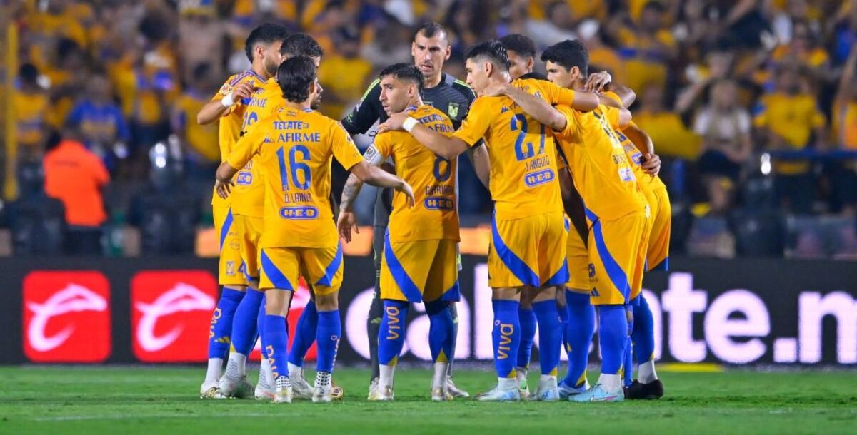 liga mx, apertura 2025, tigres, refuerzos, bajas rafael carioca, guido pizarro, ángel correa,