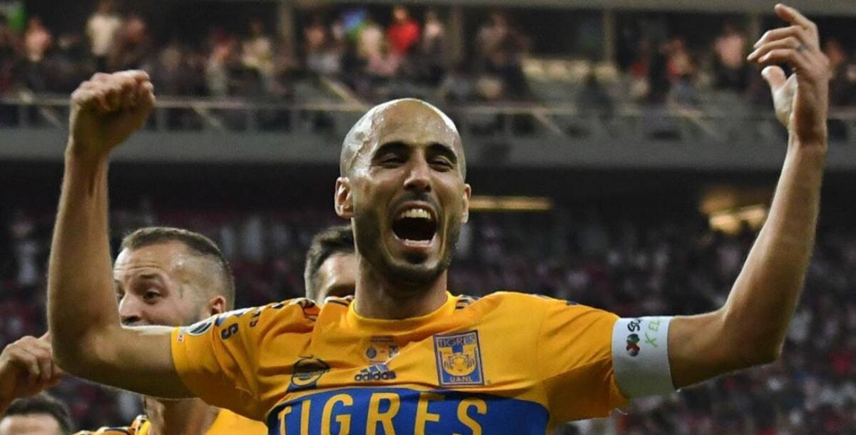 liga mx, final, tigres, chivas, 2023, tigres campeón de liga, robert dante siboldi, guido pizarro