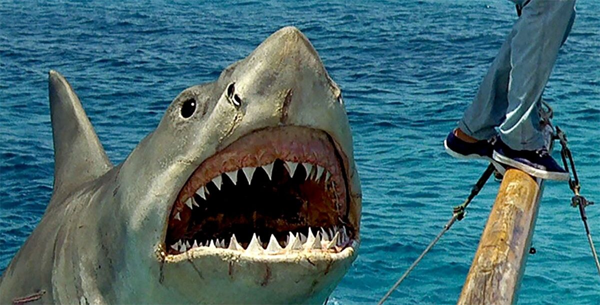 Cine, Tiburón, Steven Spielberg, Roy Scheider, Robert Shaw, Richard Dreyfuss, 50 años de Tiburón