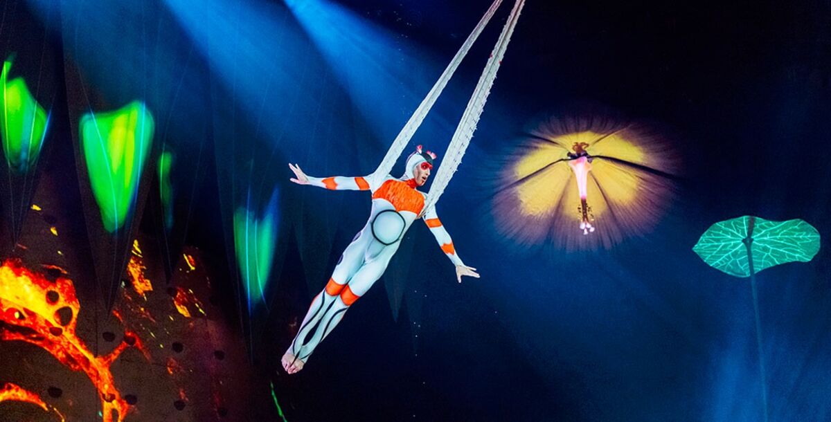 Música, OVO, Huevo, Cirque du Soleil, 53 acróbatas y músicos, Europa, Medio Oriente, Egipto, Monterrey, Guadalajara, Ciudad de México