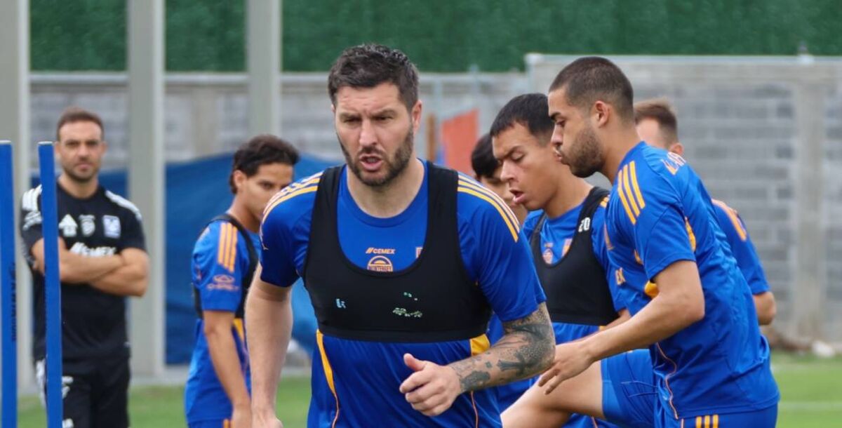 liga mx, apertura 2025, tigres, pretemporada, tampico madero, entrenamiento, cedeco, andré-pierre gignac