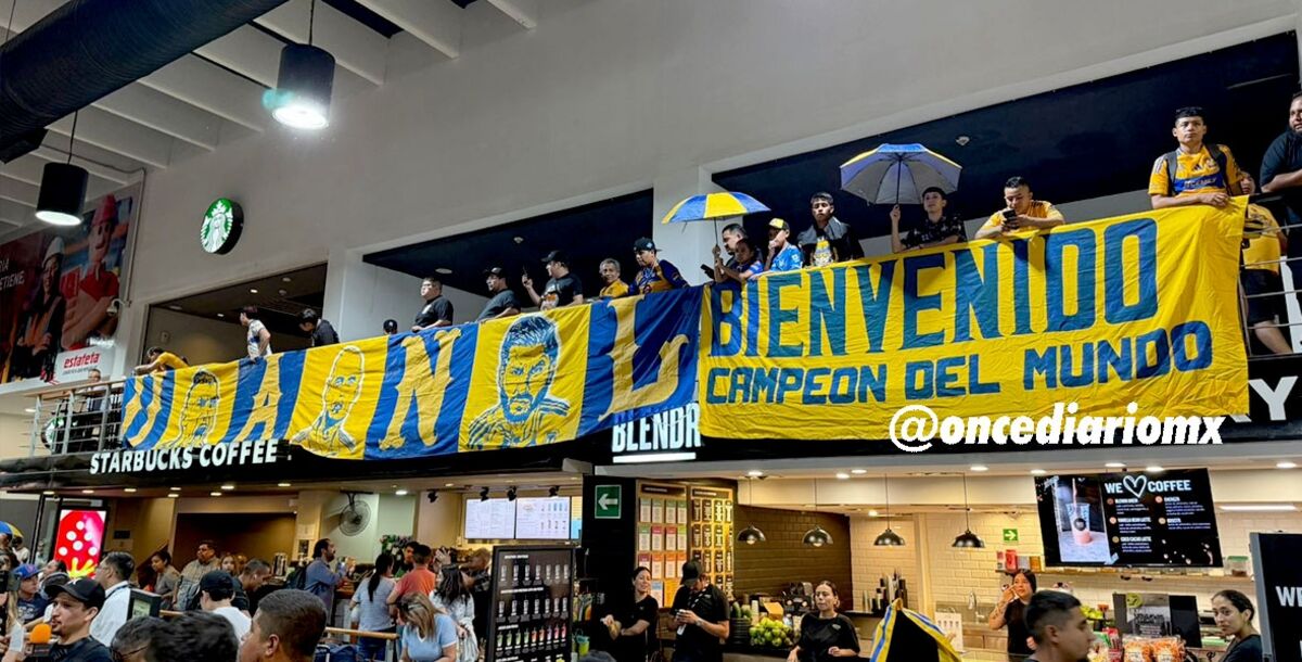 Tigres, Ángel Correa, Liga MX, Apertura 2025, llegada, Monterrey, Atlético de Madrid