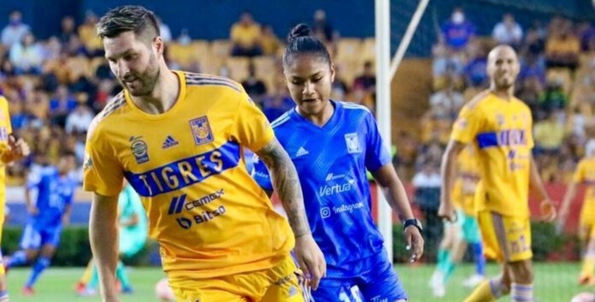 Tigres, partido, Tigres Femenil, Estadio Universitario, entrenamiento abierto, Liga MX