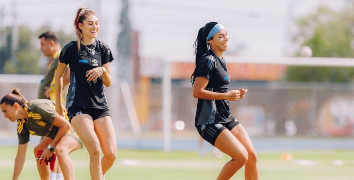 liga mx femenil, apertura 2025, jornada 2, tigres femenil, necaxa, pedro losa, previa