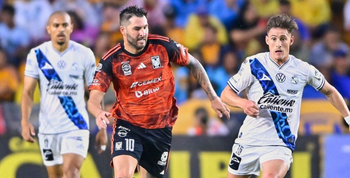 Tigres, Puebla, Liga MX, jornada 3, previa, Leagues Cup, Guido Pizarro, Nicolás Ibáñez