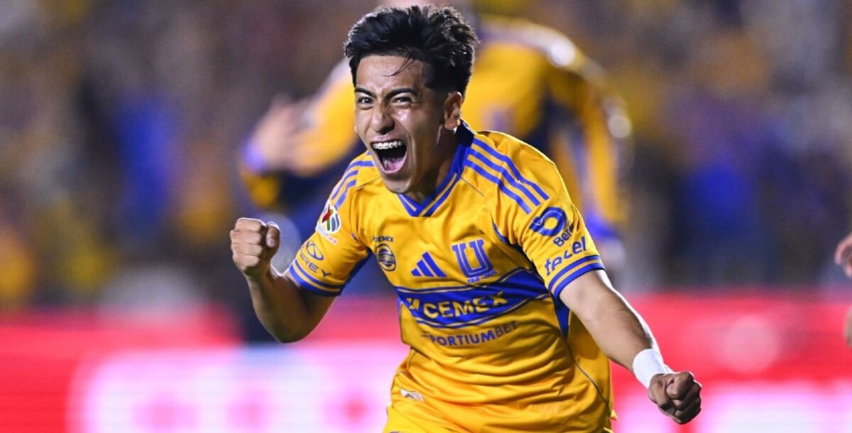 Diego Sánchez, Chicha, Tigres, primer gol, Liga MX, Puebla, Guido Pizarro