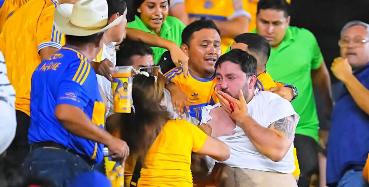 Tigres, América, Liga MX, Apertura 2025, Estadio Universitario, violencia, bronca, aficionados de Tigres y América