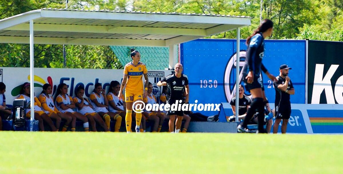 Tigres Femenil, Javier Ricardo Vázquez Adan, Pedro Losa, Liga MX Femenil, Apertura 2026, nuevo auxiliar técnico