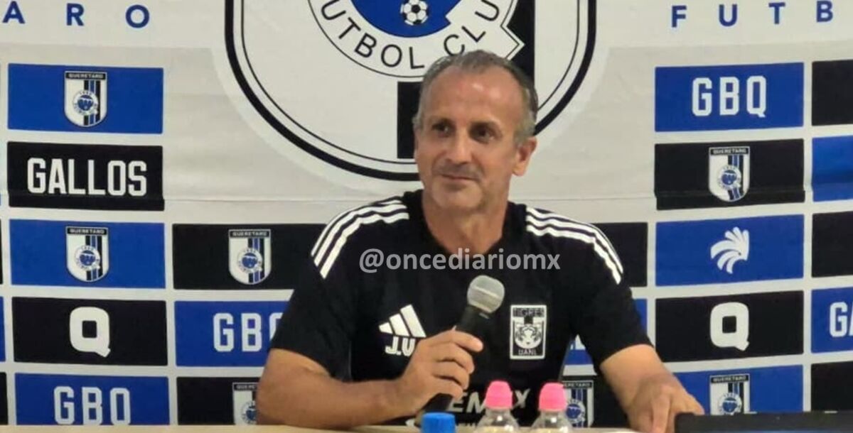 Javier Vázquez, auxiliar técnico, Tigres Femenil, Pedro Losa, Querétaro, Fernando Samayoa
