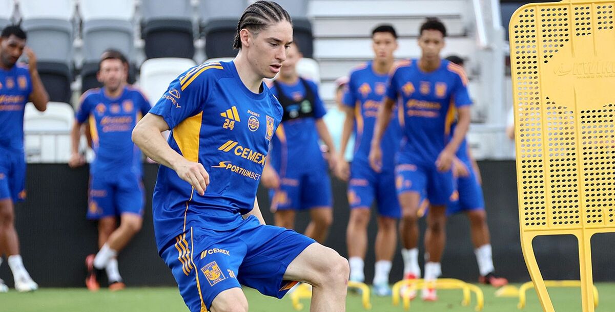 Marcelo Flores, Tigres, Liga MX, Apertura 2025, Robert Dante Siboldi, Veljko Paunovic, Guido Pizarro, poco juego