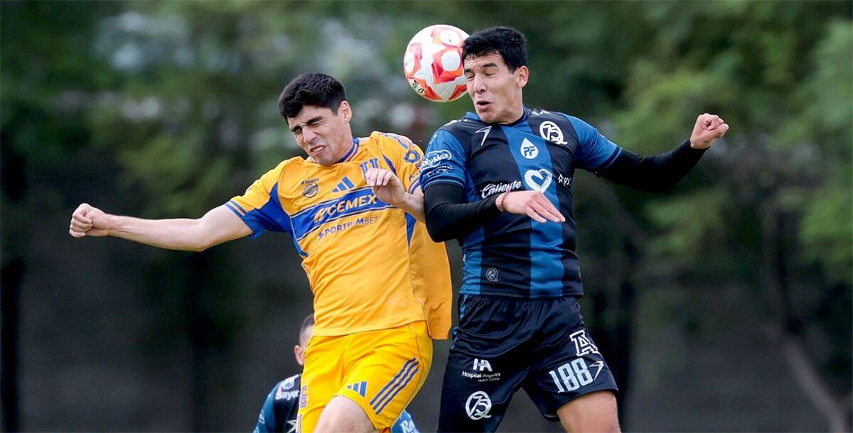 Querétaro, Tigres, Fuerzas Básicas, Liga MX, Apertura 2025, Jornada 11, Sub 21, Sub 19, crónica, resultado, goles, Hernán Elizondo, Carlos Turrubiates