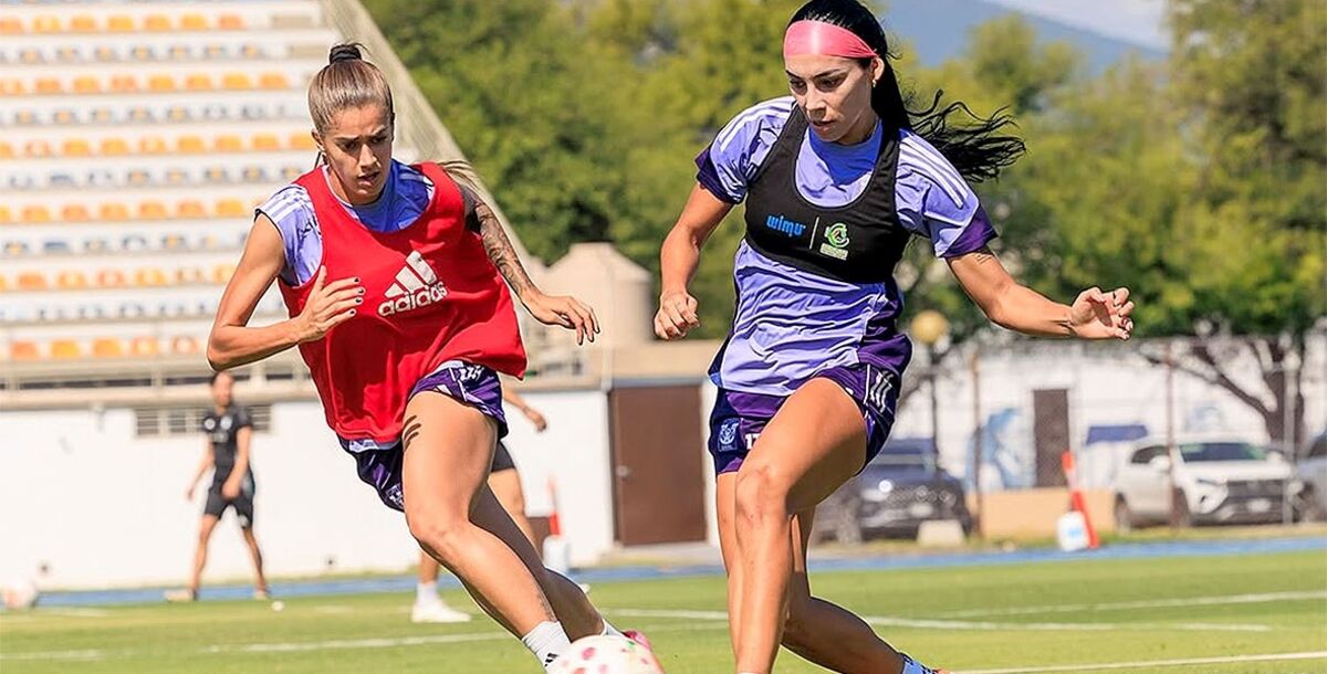 Tigres Femenil, Puebla, Enfranjadas, Liga MX Femenil, Apertura 2025, Jornada 14, Estadio Cuauhtémoc, Thembi Kgatlana