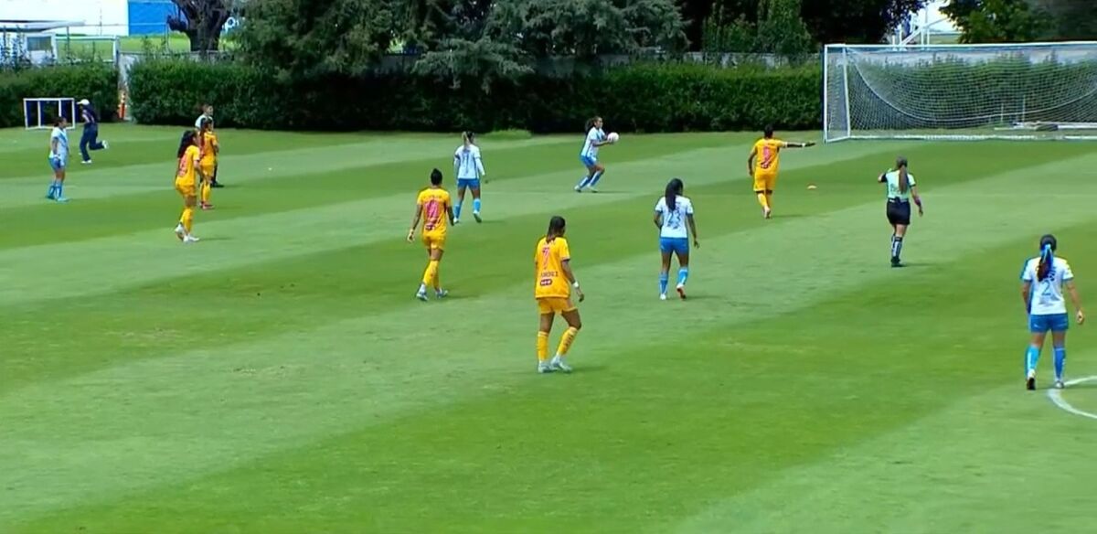 Tigres Femenil, Puebla, jornada 14, Liga MX Femenil, minuto a minuto, cobertura, en vivo, crónica