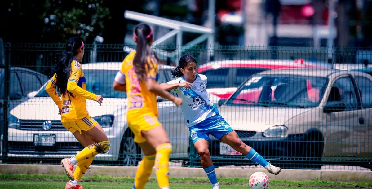 Tigres Femenil, Puebla, jornada 14, Liga MX Femenil, minuto a minuto, cobertura, en vivo, crónica