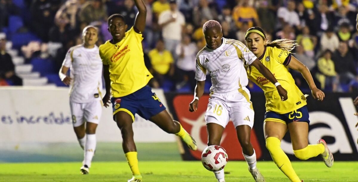 Tigres Femenil, América, jornada 15, Liga MX Femenil, en vivo, transmisión, dónde lo veo, Canal 9