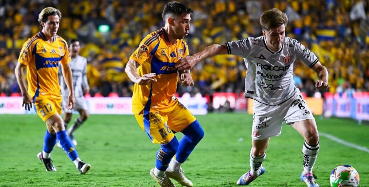 Tigres, Necaxa, previa, jornada 13, Liga MX, antecedentes, Guido Pizarro, Diego Sánchez, Gignac