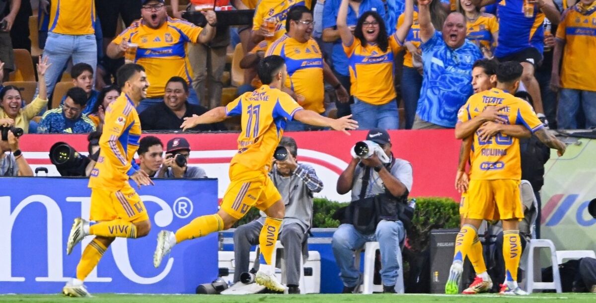 Tigres, Necaxa, jornada 13, Liga MX, Ángel Correa, Juan Brunetta, Diber Cambindo, Pável Pérez