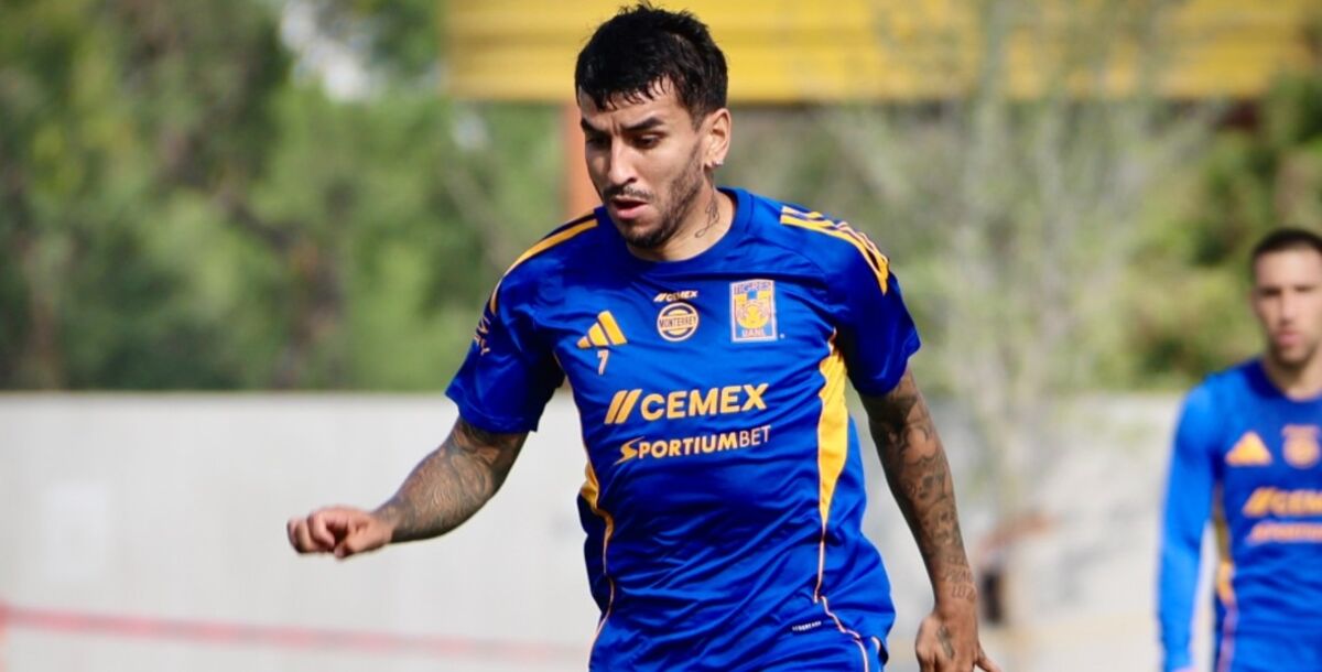 Tigres, Necaxa, jornada 13, Liga MX, dónde lo veo, en vivo, transmisión, Azteca 7, Tubi