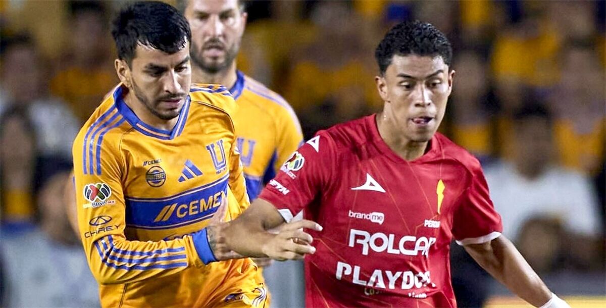 Tigres, Necaxa, Rayos, Liga MX, Apertura 2025, Jornada 13, Estadio Universitario, crónica, resultado, goles