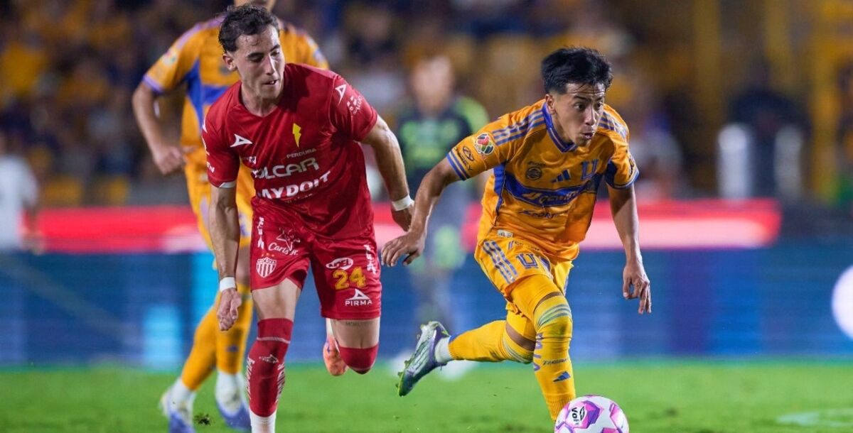 Tigres, Necaxa, análisis, ataque, Juan Brunetta, Ángel Correa, Diego Sánchez, Liga MX, Guido Pizarro