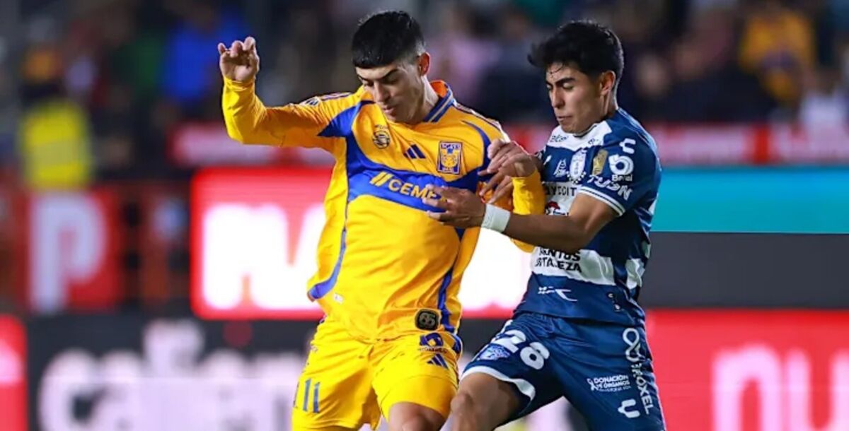 Tigres, Pachuca, jornada 14, Liga MX, dónde lo veo, en vivo, transmisión, Caliente TV, FOX