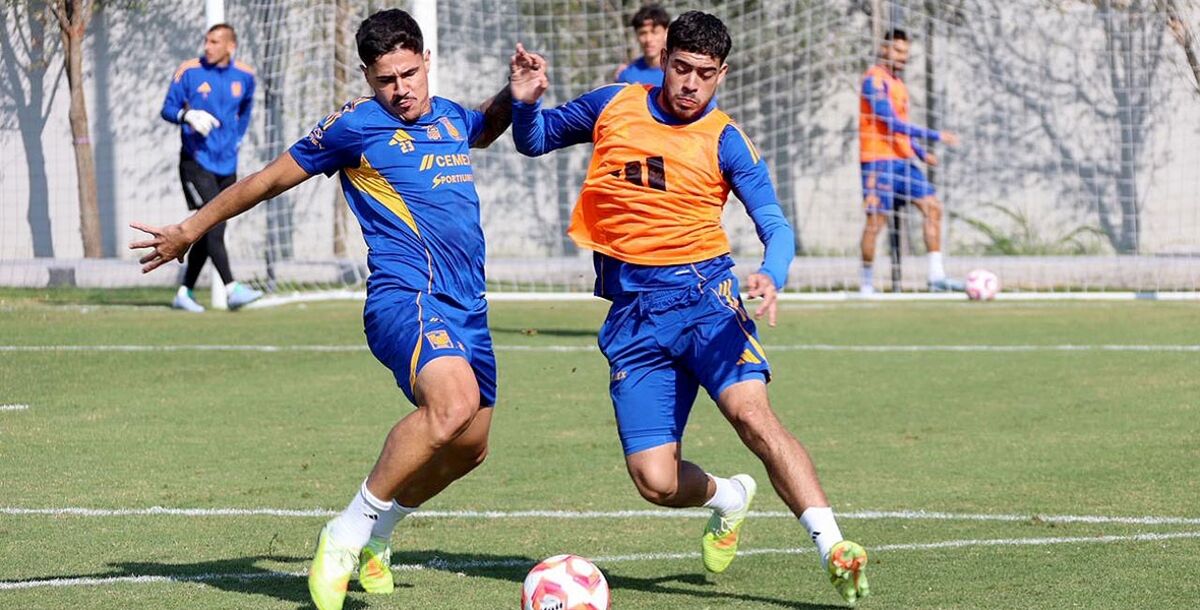 Tigres, Atlético de San Luis, Guido Pizarro, Liga MX, Apertura 2025, Jornada 17, Estadio Universitario