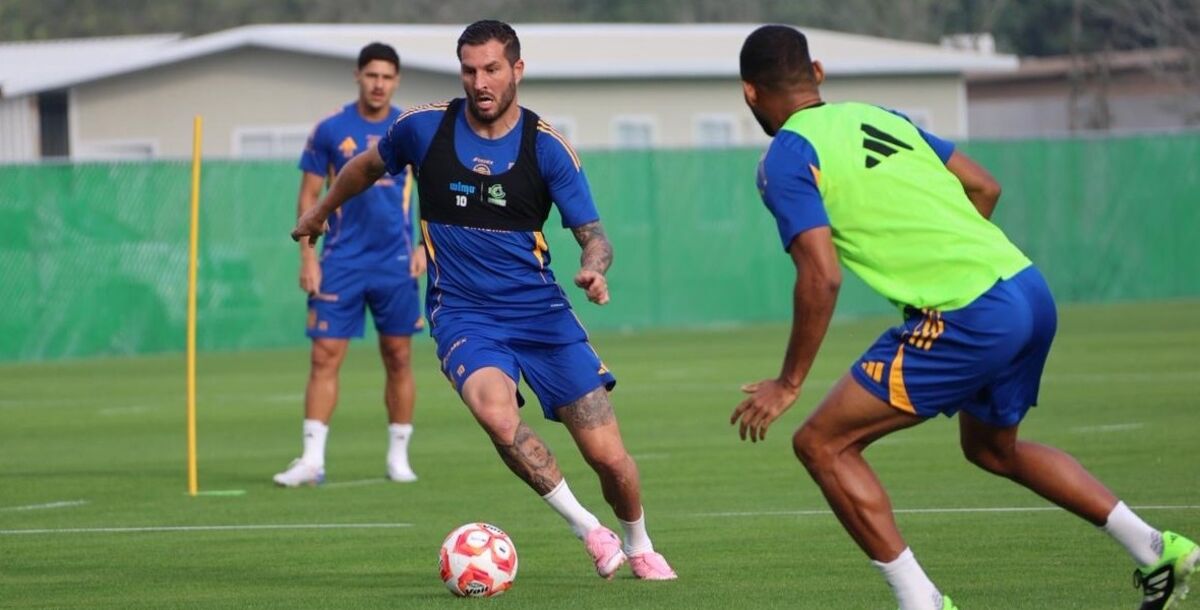 Tigres, Liguilla, Cuartos de Final, Guido Pizarro, entrenamiento, CET, táctico,