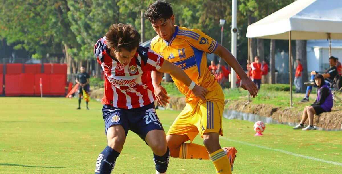 Tigres, fuerzas Básicas, cantera, juveniles, Liguilla, Cuartos de Final, Semifinales, Liga MX, Isaac Galván