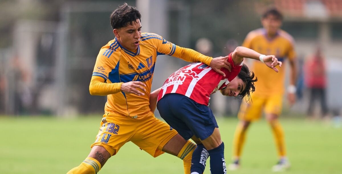 Tigres Fuerzas Básicas, Sub 21 Semifinal, Sub 17 eliminado, Sub 19 eliminado, Liguilla, Pumas, Atlas