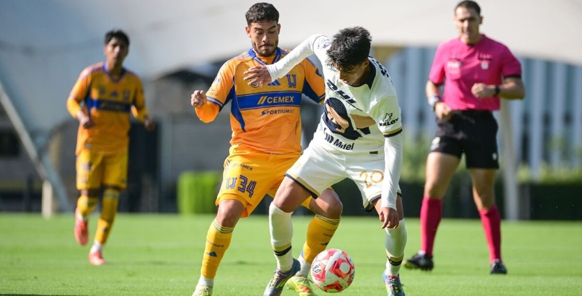 Tigres Sub 21, Pumas, Semifinales de Ida, Fuerzas básicas, Liga MX, Bernardo Parra, Hernán Elizondo