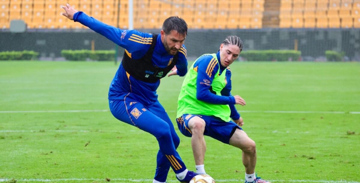 Tigres, entrenamiento, Cuartos de Vuelta, Tijuana, Xolos, Estadio Universitario