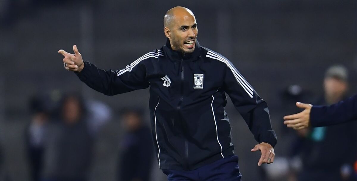 Guido Pizarro, Final Liga MX, Tigres, Primer Torneo, DT Debutante, Veljko Paunovic, Selecto Grupo