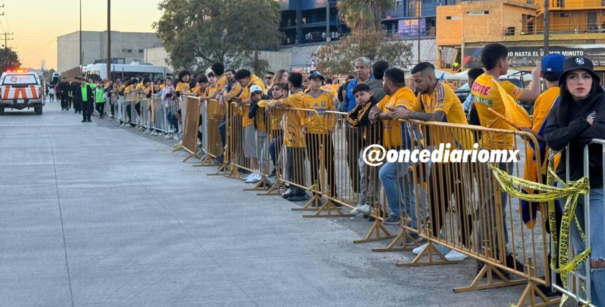 Tigres, Toluca, Liga MX, Apertura 2025, Liguilla, Final, Estadio Universitario, color, hinchas, aficionados