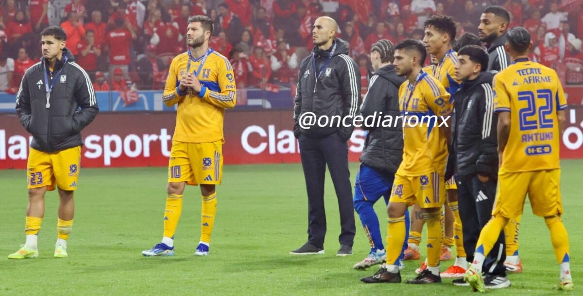 Tigres, Final, subcampeonato, Gignac, Nahuel, Correa, Gorriarán, Guido Pizarro, Juan Pablo Vigón, Toluca