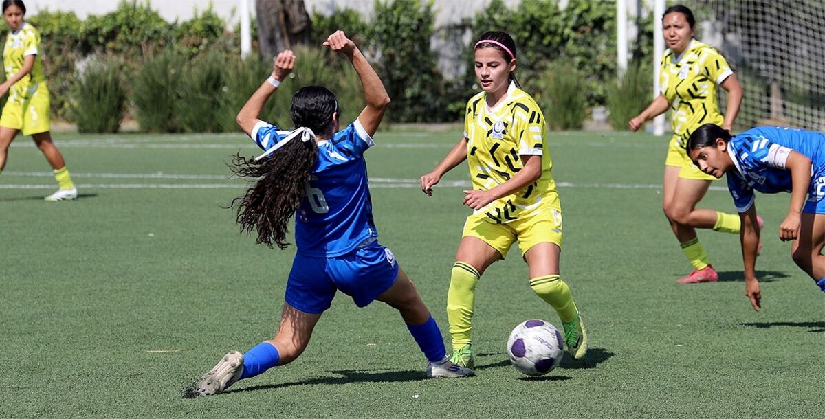 Futbol Femenil, Liga TDP Femenil, Tercera División Profesional, México, 52 equipos, Fuerzas Básicas, Aragón FC Femenil, Halcones Futbol Club Femenil 