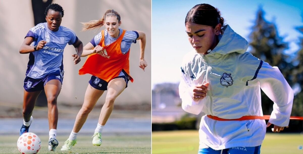 Tigres Femenil, Puebla, juego pendiente, dónde lo veo, en vivo, cuando es, transmisión, Tubi, FOX One, Liga MX Femenil