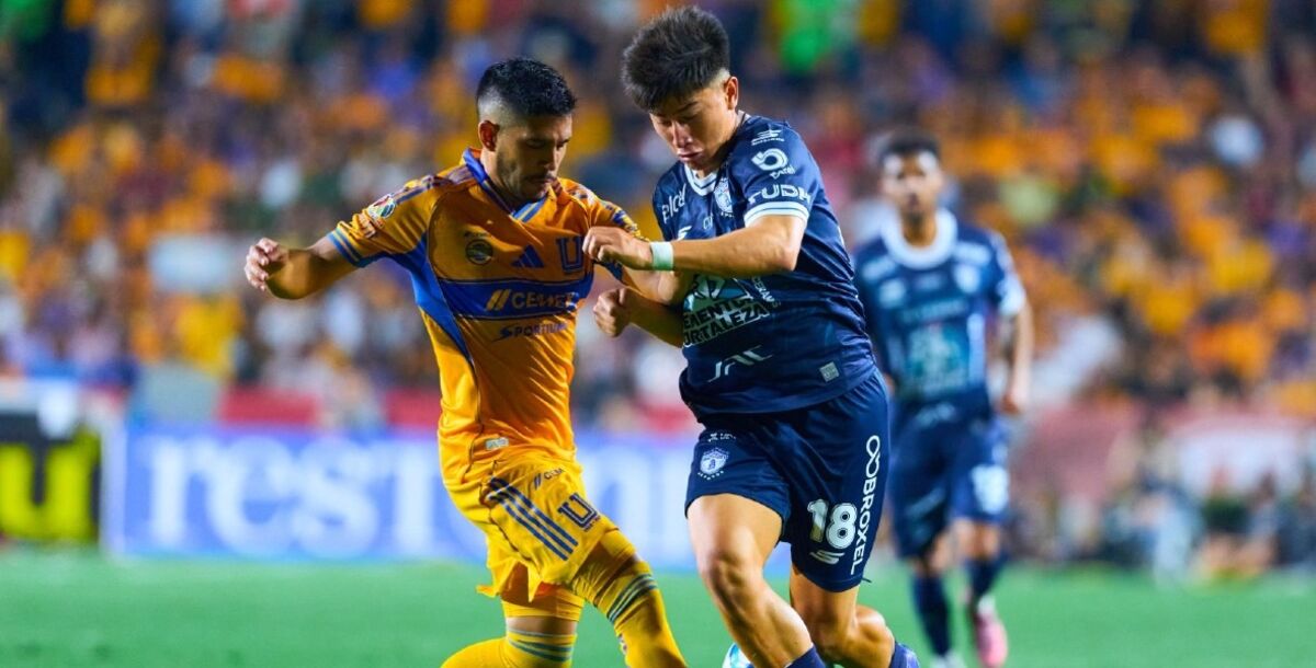 Tigres, Pachuca, jornada 7, Liga MX, en vivo, minuto a minuto, crónica