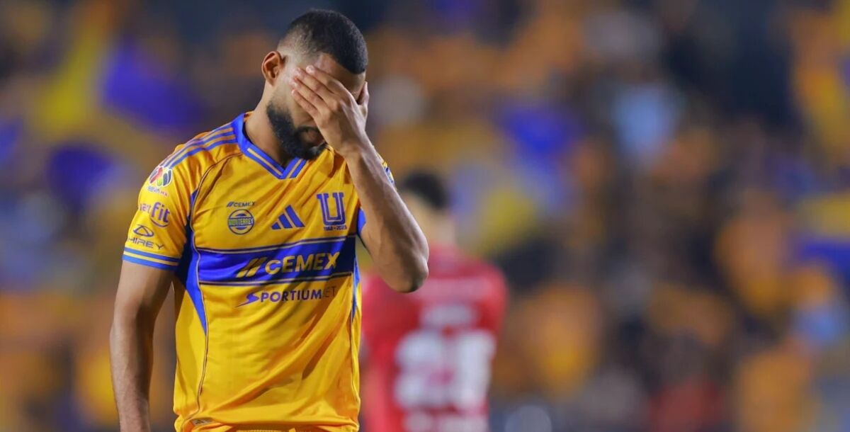 Tigres, expulsiones, errores, Juan Purata, Joaquim Pereira, Diego Sánchez, Gignac, Liga MX