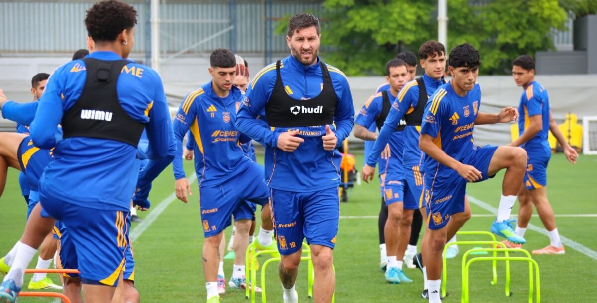 Tigres, Vladimir Loroña, lesión, Diego Lainez, suspensión, Chivas, Liga MX