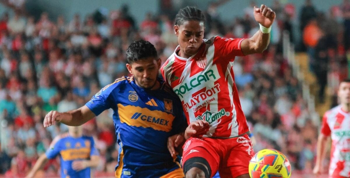 Necaxa vs Tigres, previa, Marcelo Flores,, Vladimir Loroña, Guido Pizarro, Regla de menores, Clausura 2026, Liguilla