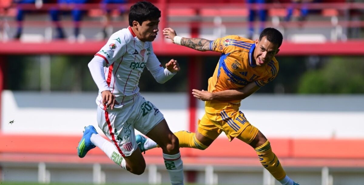Tigres, Necaxa, Fuerzas Básicas, Sub 21, Sub 19, Liga MX, Carlos Turrubiates, Diego Ramírez 