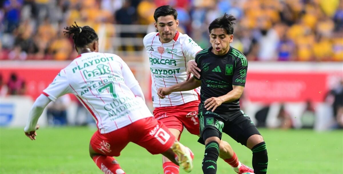 Liga MX, Necaxa vs. Tigres, seguimiento minuto a minuto, en vivo, crónica, resultado, goles, Jornada 15, Clausura 2026