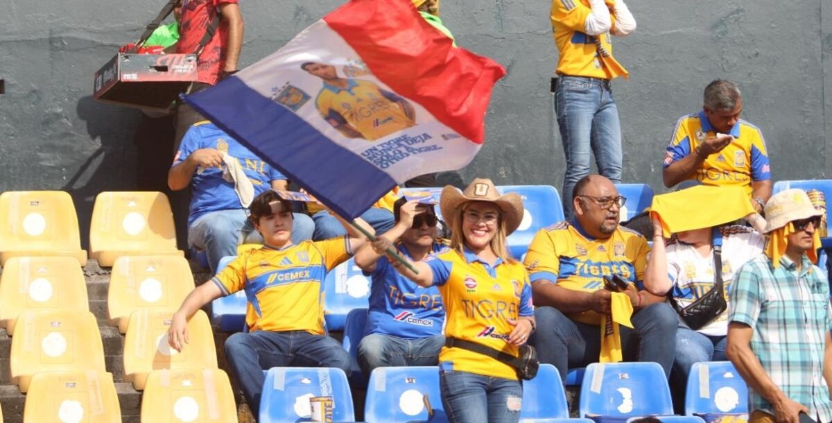 Tigres, Maztalán, jornada 17, Liga MX, minuto a minuto, en vivo, crónica, Gignac, homenaje