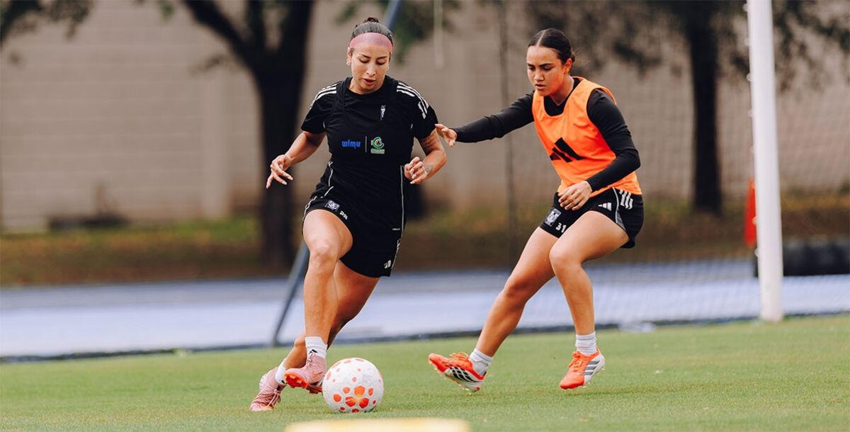 Tigres Femenil, Toluca, Pedro Losa, Anika Rodríguez, lesión, Liga MX Femenil, Clausura 2026, Liguilla, Cuartos de Final, Vuelta, Estadio Universitario
