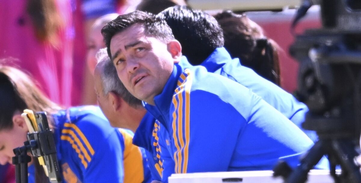 Pedro Losa, director técnico, Tigres Femenil, trayectoria, altibajos, torneos, eliminación, Cuartos de Final, Final, campeón