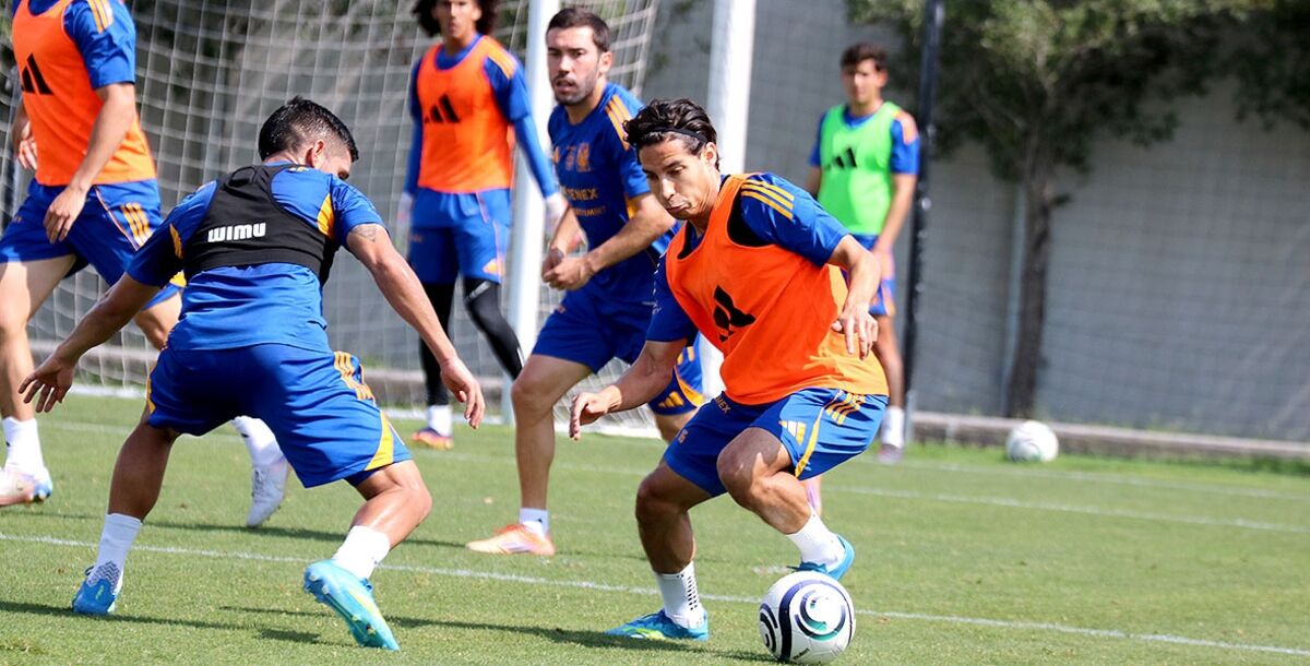 Tigres, Toluca, Concacaf Champions Cup, Final, Estadio Nemesio Díez, Liga MX, Liguilla, eliminación