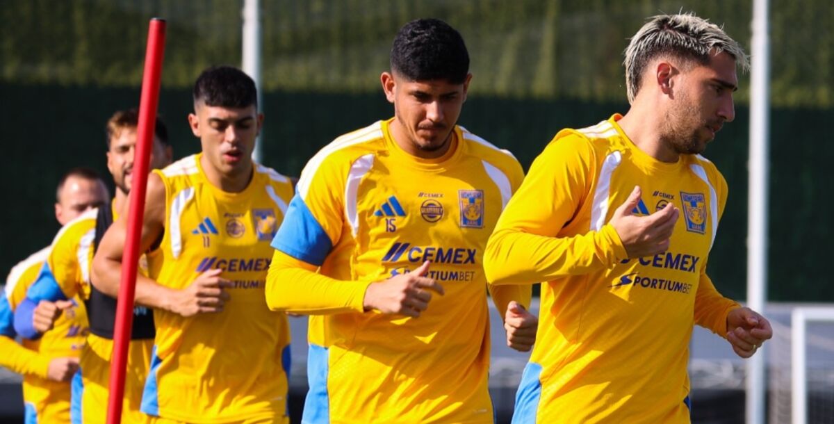 Tigres, lesionados, bajas, Rodrigo Aguirre, suspensión, delantero, Ángel Correa, salida, Liga MX