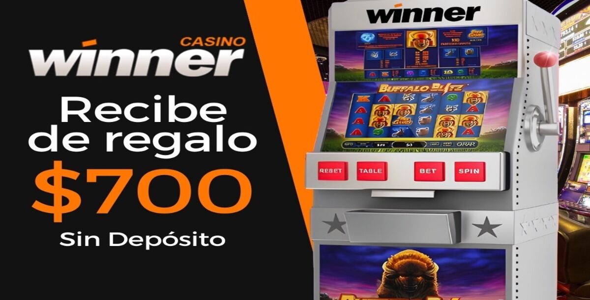 Al, interior, de, Winner, MX, el, casino, en, linea, y, la, plataforma, de, apuestas, que, hoy, eligen, los, mexicanos  