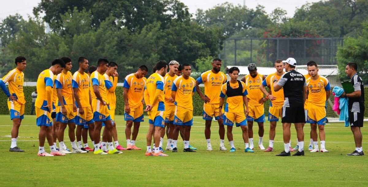 Tigres, director técnico, entrenador, candidatos, refuerzos, Guido Pizarro, Liga MX